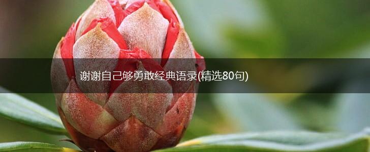 谢谢自己够勇敢经典语录(精选80句),第1张