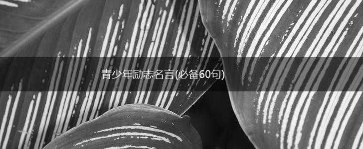 青少年励志名言(必备60句),第1张