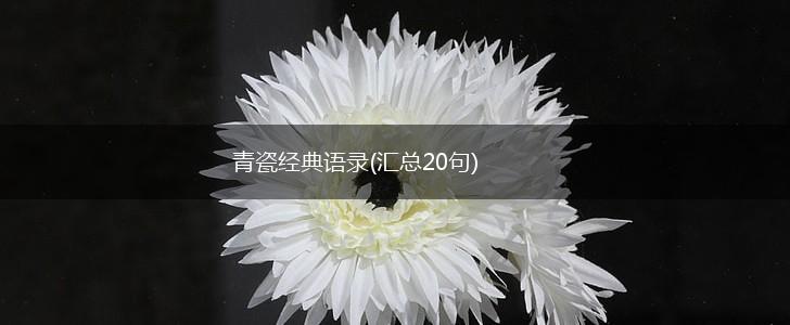 青瓷经典语录(汇总20句),第1张