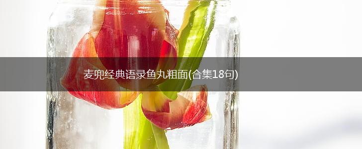 麦兜经典语录鱼丸粗面(合集18句),第1张