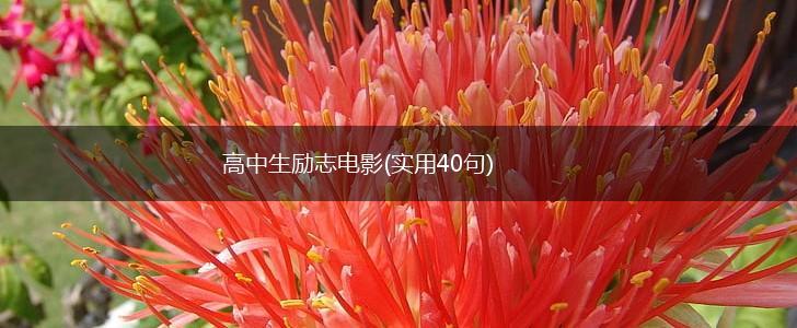 高中生励志电影(实用40句),第1张