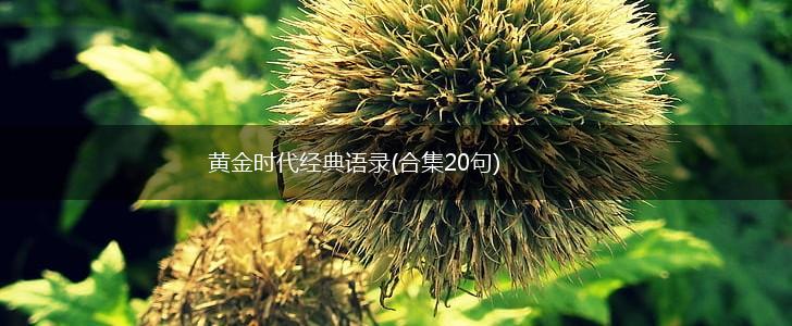 黄金时代经典语录(合集20句),第1张