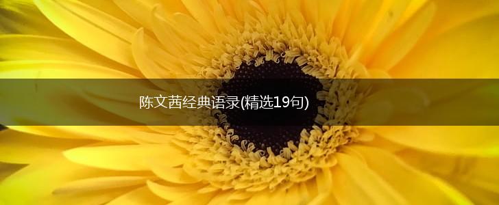 陈文茜经典语录(精选19句),第1张