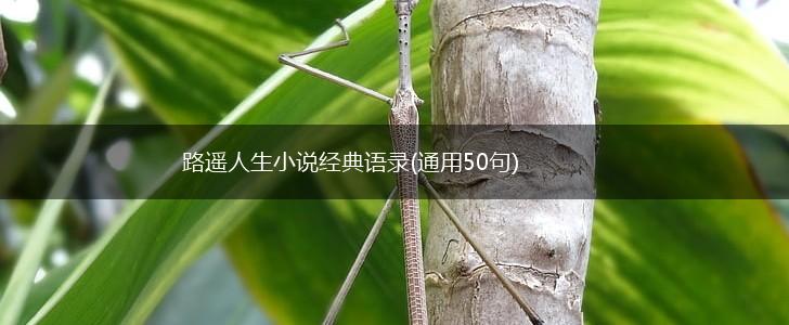 路遥人生小说经典语录(通用50句),第1张