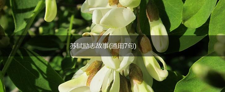 苏轼励志故事(通用7句),第1张 苏轼励志故事(通用7句),第1张