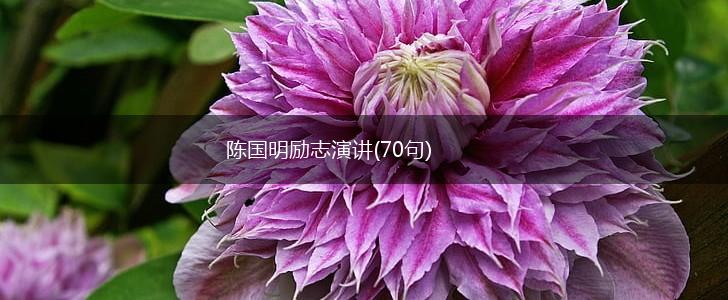 陈国明励志演讲(70句),第1张