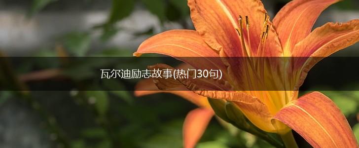 瓦尔迪励志故事(热门30句),第1张