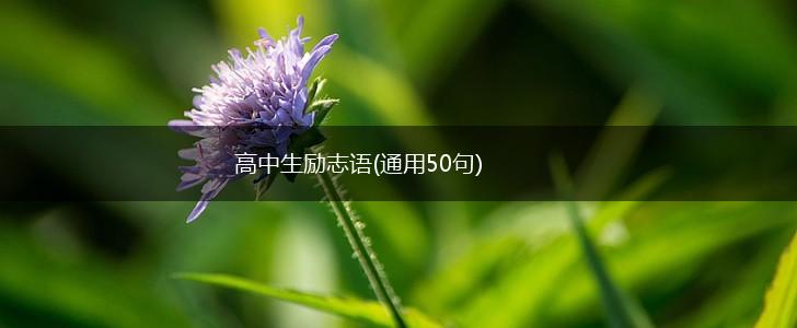 高中生励志语(通用50句),第1张
