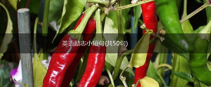 英语励志小短句(共50句),第1张
