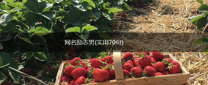 网名励志男(实用70句),第1张