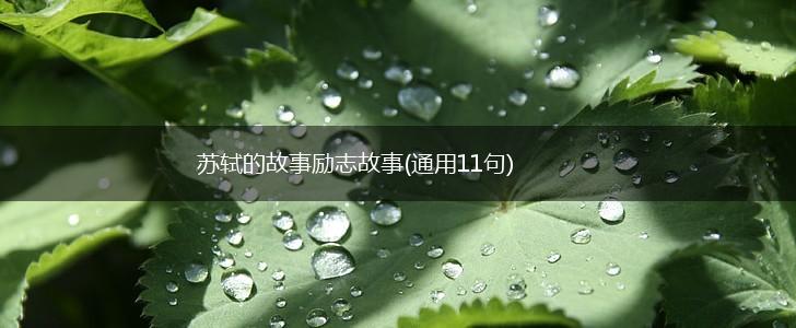 苏轼的故事励志故事(通用11句),第1张 苏轼的故事励志故事(通用11句),第1张