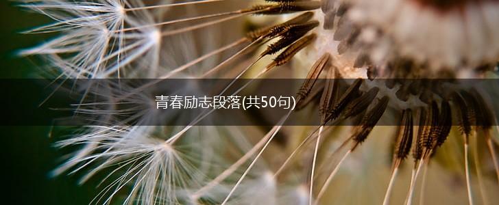 青春励志段落(共50句),第1张