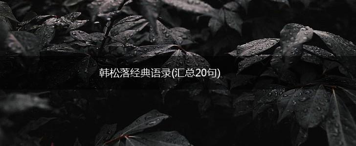 韩松落经典语录(汇总20句),第1张