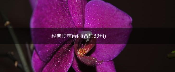 经典励志诗词(合集39句),第1张