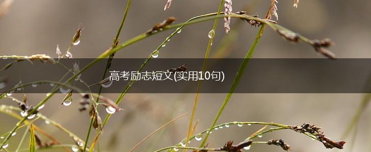 高考励志短文(实用10句),第1张