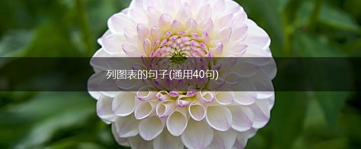 列图表的句子(通用40句),第1张