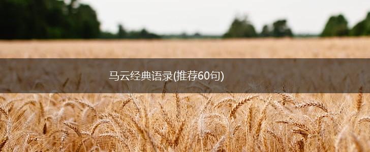 马云经典语录(推荐60句),第1张 马云经典语录(推荐60句),第1张