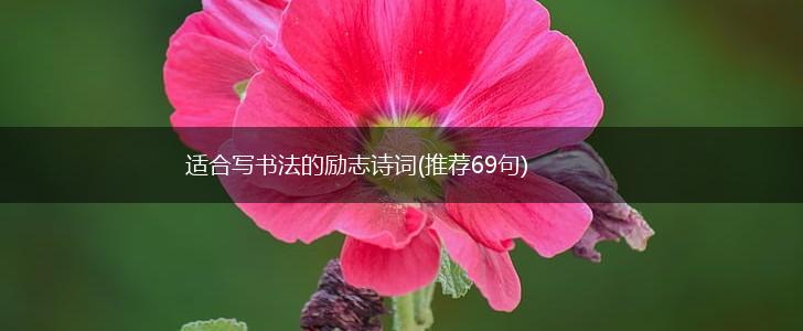 适合写书法的励志诗词(推荐69句),第1张