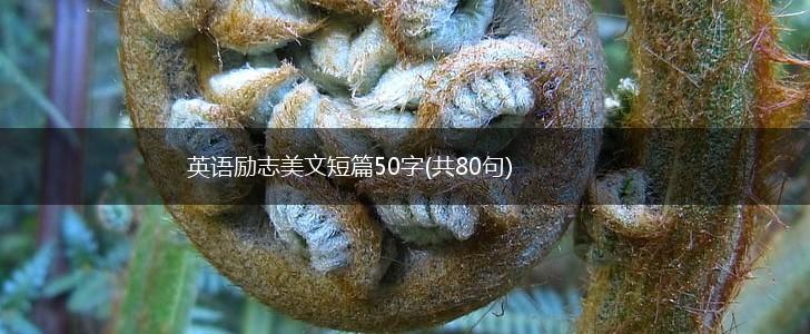 英语励志美文短篇50字(共80句),第1张