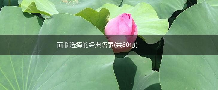 面临选择的经典语录(共80句),第1张