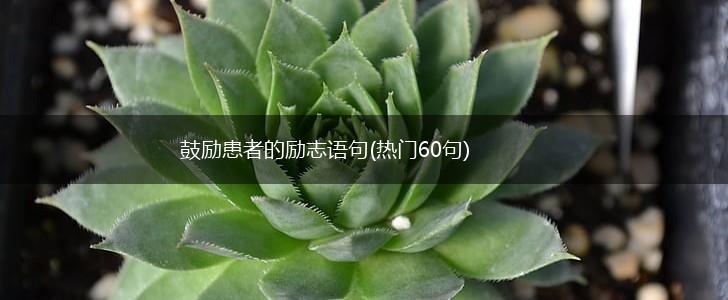 鼓励患者的励志语句(热门60句),第1张