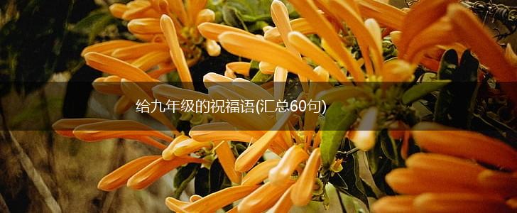 给九年级的祝福语(汇总60句),第1张