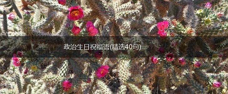 政治生日祝福语(精选40句),第1张
