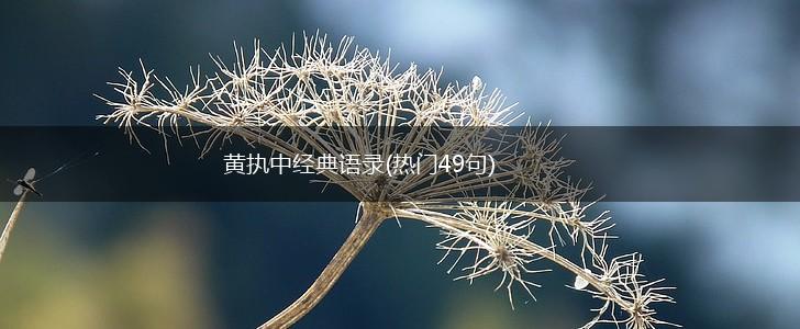 黄执中经典语录(热门49句),第1张