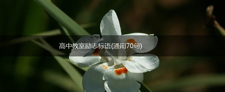 高中教室励志标语(通用70句),第1张