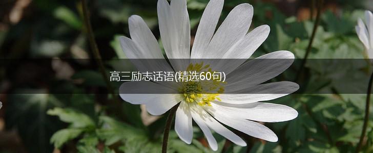 高三励志话语(精选60句),第1张