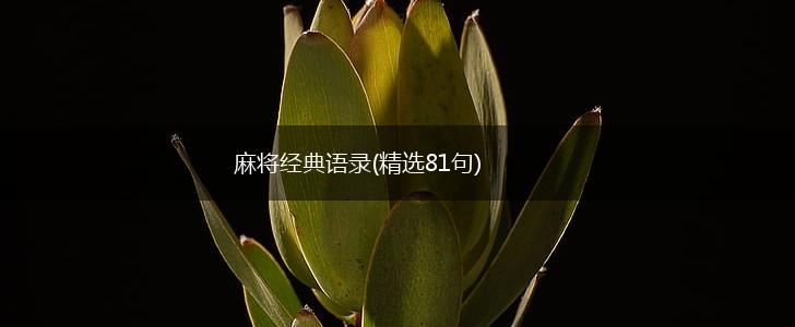麻将经典语录(精选81句),第1张