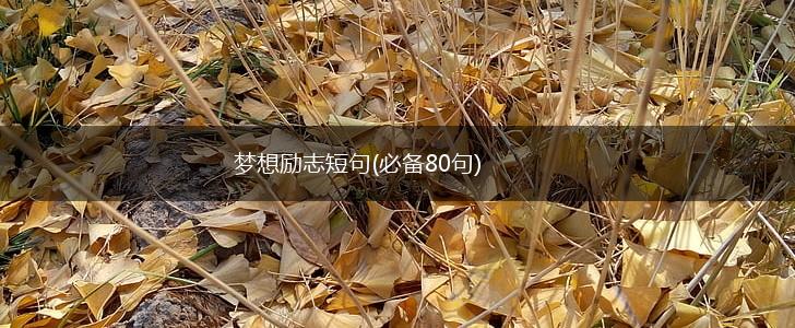 梦想励志短句(必备80句),第1张 梦想励志短句(必备80句),第1张
