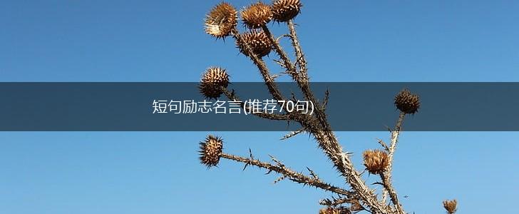 短句励志名言(推荐70句),第1张