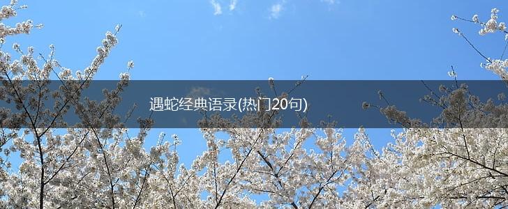 遇蛇经典语录(热门20句),第1张