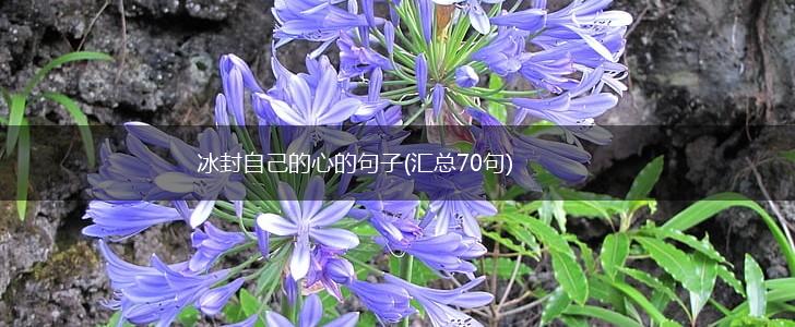 冰封自己的心的句子(汇总70句),第1张