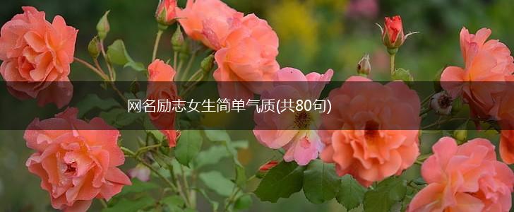 网名励志女生简单气质(共80句),第1张 网名励志女生简单气质(共80句),第1张