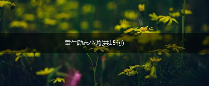 重生励志小说(共15句),第1张