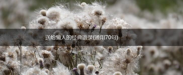 送给懒人的经典语录(通用70句),第1张