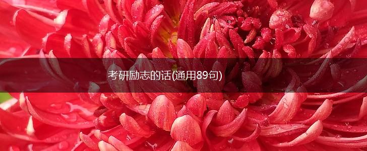 考研励志的话(通用89句),第1张 考研励志的话(通用89句),第1张