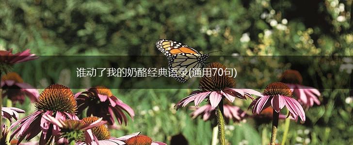 谁动了我的奶酪经典语录(通用70句),第1张