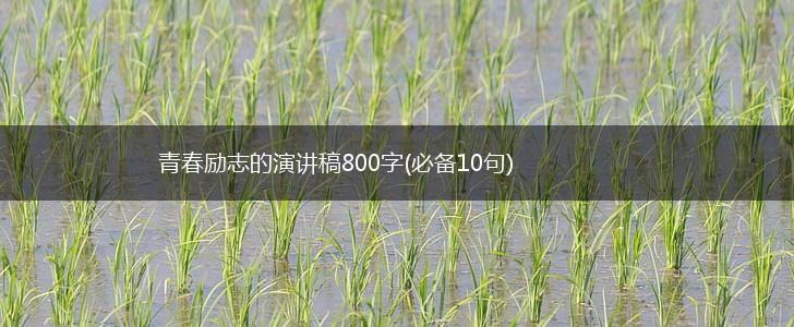 青春励志的演讲稿800字(必备10句),第1张
