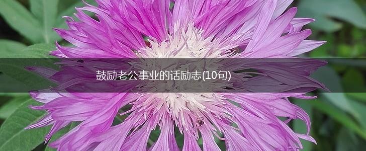 鼓励老公事业的话励志(10句),第1张