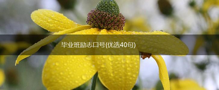 毕业班励志口号(优选40句),第1张