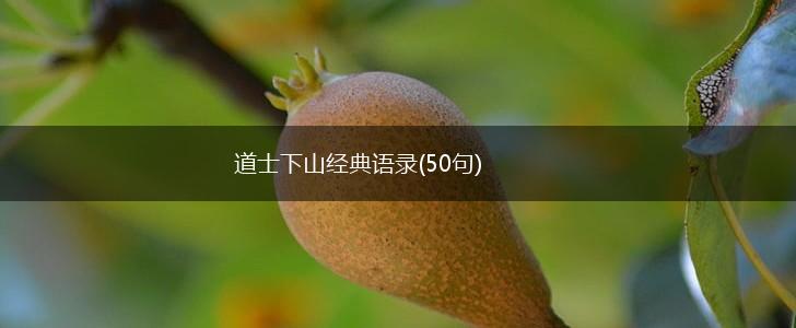 道士下山经典语录(50句),第1张