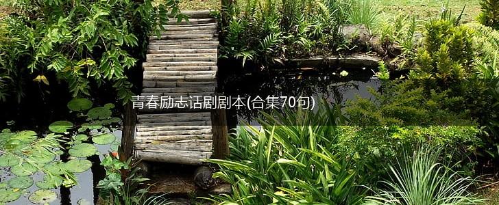 青春励志话剧剧本(合集70句),第1张
