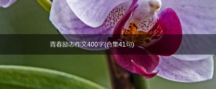 青春励志作文400字(合集41句),第1张