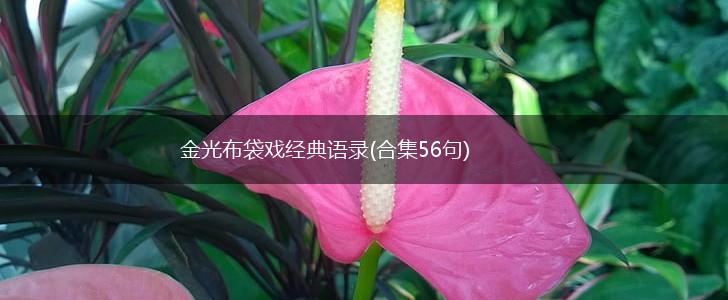 金光布袋戏经典语录(合集56句),第1张