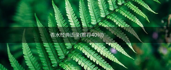 香水经典语录(推荐40句),第1张