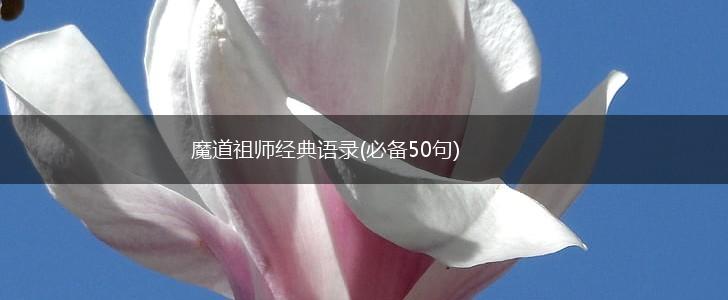 魔道祖师经典语录(必备50句),第1张