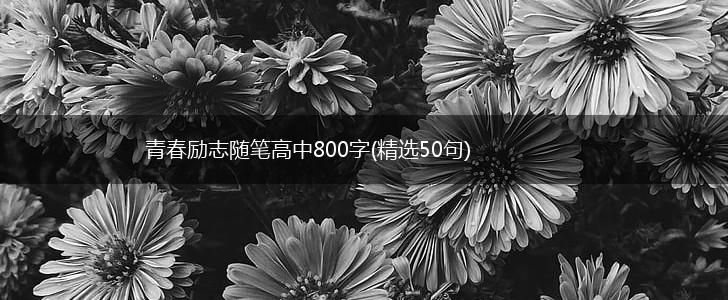 青春励志随笔高中800字(精选50句),第1张